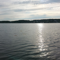 фото из отзыва ID 2728623