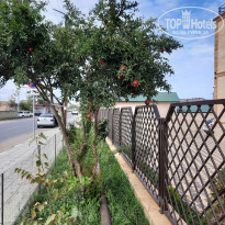 фото из отзыва ID 2728631