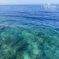 фото из отзыва ID 2728645