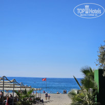 фото из отзыва ID 2728651