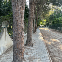 фото из отзыва ID 2728653