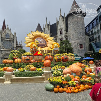 фото из отзыва ID 2728632