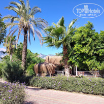 фото из отзыва ID 2728660