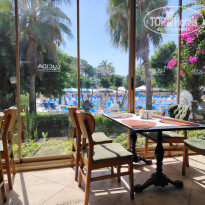 фото из отзыва ID 2728660