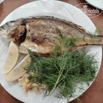 фото из отзыва ID 2728660