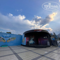 фото из отзыва ID 2728687