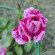 фото из отзыва ID 2728722