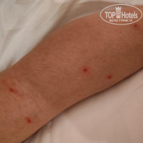 фото из отзыва ID 2728725