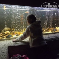 фото из отзыва ID 2728730