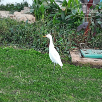 фото из отзыва ID 2728778