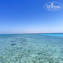 фото из отзыва ID 2728836