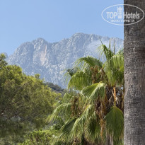 фото из отзыва ID 2728860