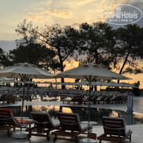 фото из отзыва ID 2728860