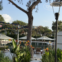 фото из отзыва ID 2728860