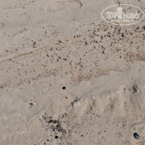 фото из отзыва ID 2728908