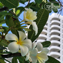 фото из отзыва ID 2728945