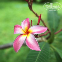 фото из отзыва ID 2728945