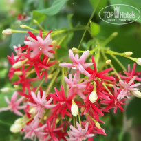 фото из отзыва ID 2728945