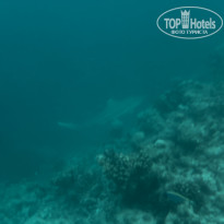 фото из отзыва ID 2728980