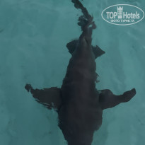 фото из отзыва ID 2728980