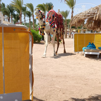 фото из отзыва ID 2728999