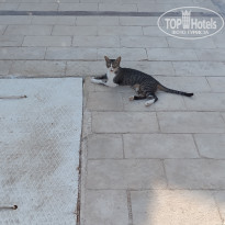 фото из отзыва ID 2728999