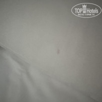 фото из отзыва ID 2729036