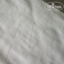 фото из отзыва ID 2729036