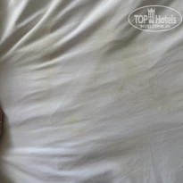 фото из отзыва ID 2729036