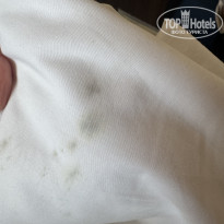 фото из отзыва ID 2729036