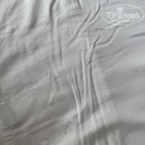 фото из отзыва ID 2729036