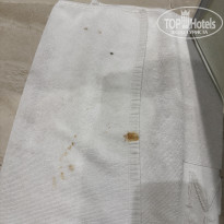 фото из отзыва ID 2729036