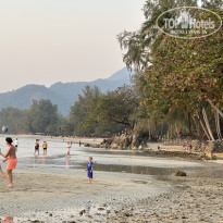 фото из отзыва ID 2728439