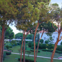 фото из отзыва ID 2729052