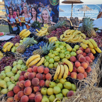 фото из отзыва ID 2729052