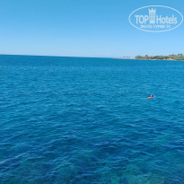 фото из отзыва ID 2729102