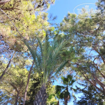 фото из отзыва ID 2729102