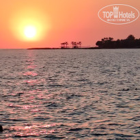 фото из отзыва ID 2729102