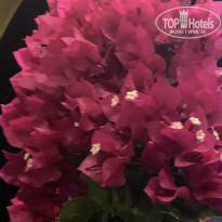 фото из отзыва ID 2729112