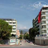 фото из отзыва ID 2729065