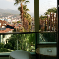 фото из отзыва ID 2729065