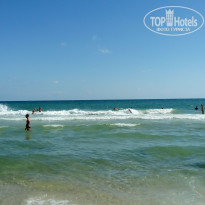 фото из отзыва ID 2729066