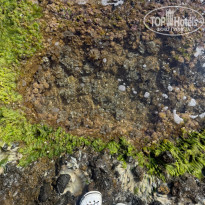 фото из отзыва ID 2729190