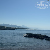 фото из отзыва ID 2729190