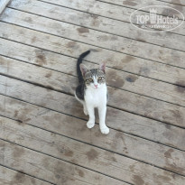 фото из отзыва ID 2729190