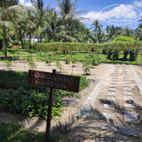 фото из отзыва ID 2729194