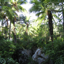 фото из отзыва ID 2729272