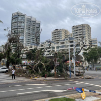 фото из отзыва ID 2729272