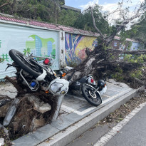 фото из отзыва ID 2729272