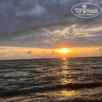 фото из отзыва ID 2729298